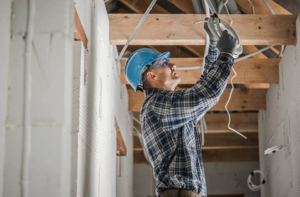 Best Local Electrician Companies  in Skidway Lake, MI