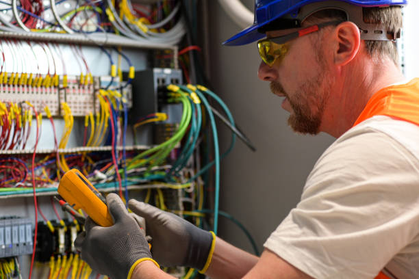 Best Electrical System Inspection  in Skidway Lake, MI