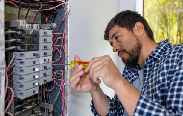 Best Electrician Near Me  in Skidway Lake, MI